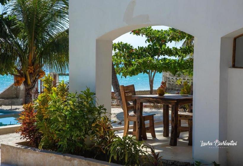 酒店 Moonshine Uroa Dikoni Boutique