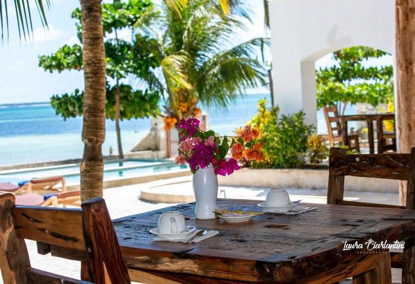 酒店 Moonshine Uroa Dikoni Boutique