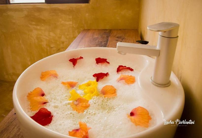 酒店 Moonshine Uroa Dikoni Boutique