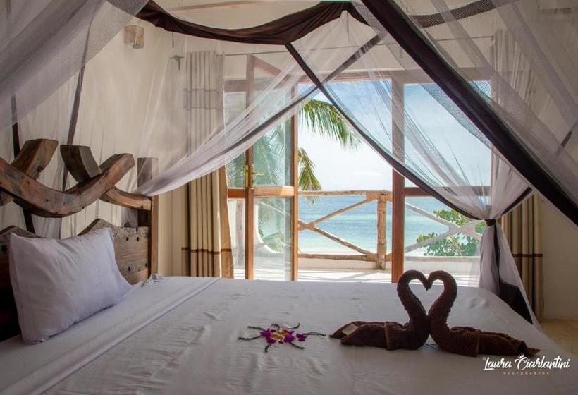 酒店 Moonshine Uroa Dikoni Boutique