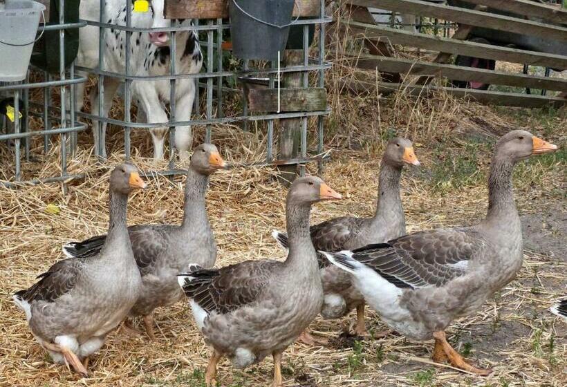 酒店 Ulmenhof Melfsen