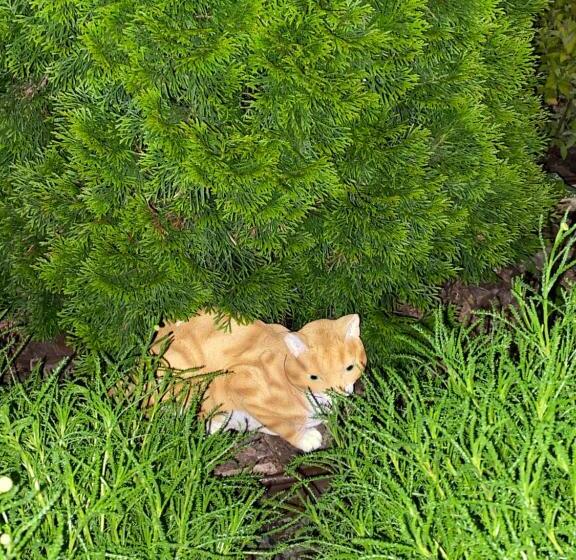 Panzió три кошки