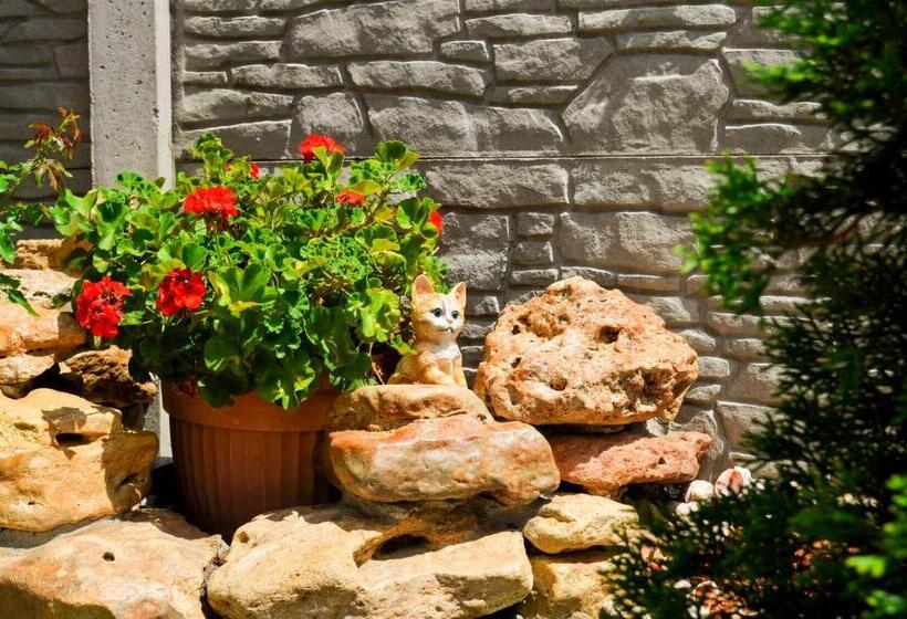 Panzió три кошки