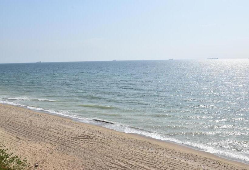 Panzió три кошки