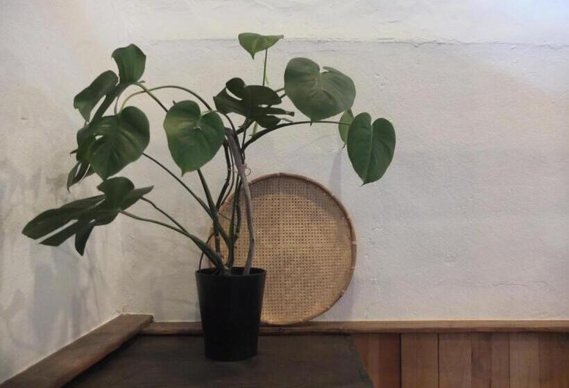 Pensão Yomogi Guesthouse