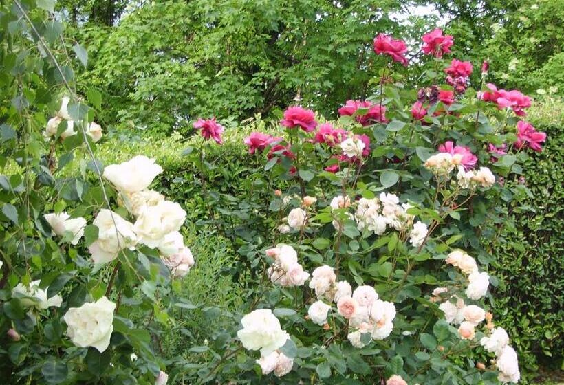 B&b Madonna Della Neve