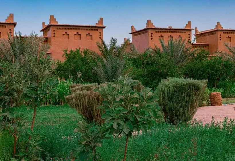 Majatalo Maison D'hôte Amridil