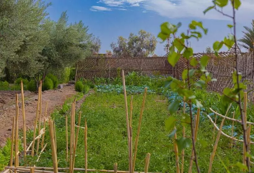 Majatalo Maison D'hôte Amridil