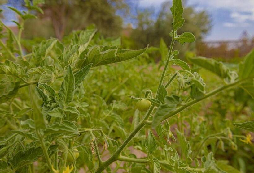 膳宿费 Maison D'hôte Amridil