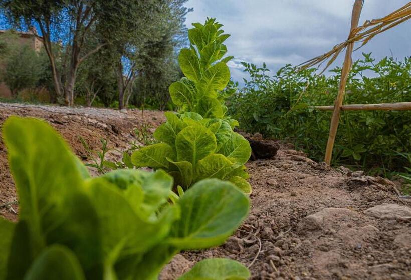 膳宿费 Maison D'hôte Amridil