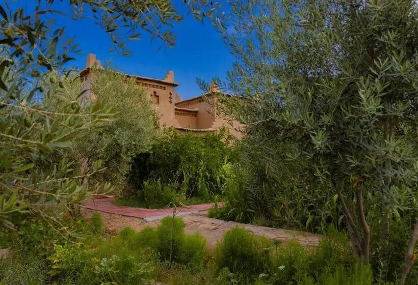 Majatalo Maison D'hôte Amridil