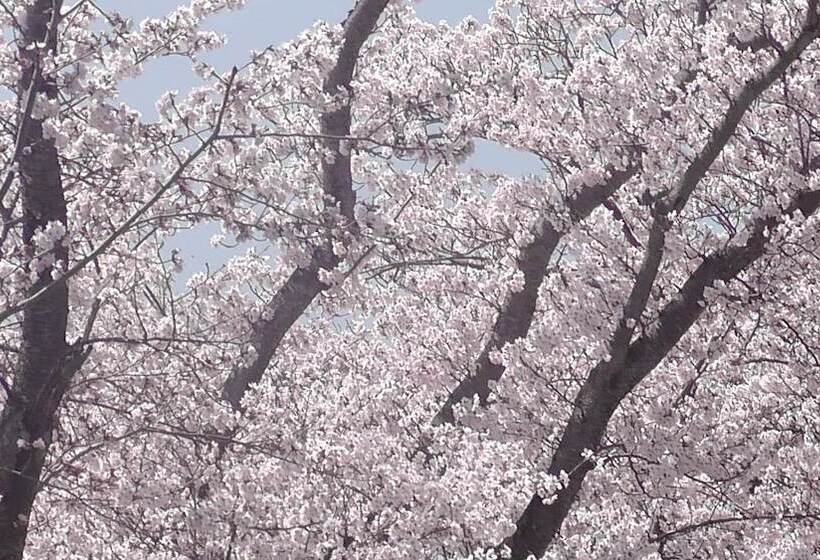 ریوکان Nikkoen