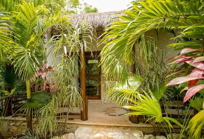 فندق صغير Aldea Joyah