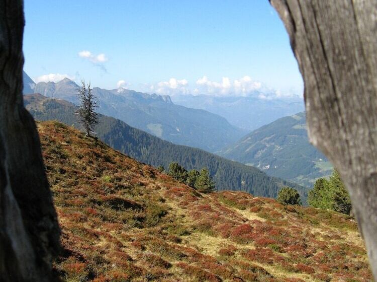 Alpenherz Hotel Garni