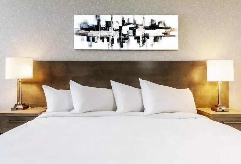 Repotel Henri Iv Québec