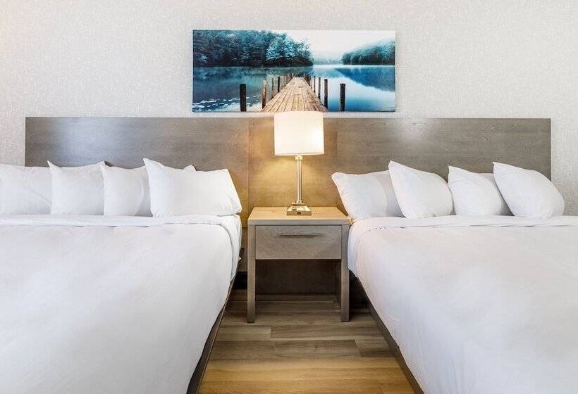 Repotel Henri Iv Québec