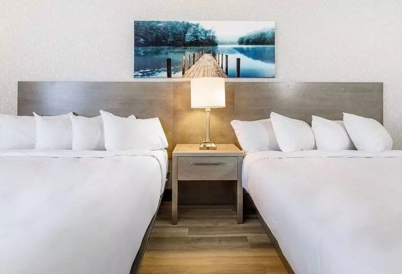 Repotel Henri Iv Québec