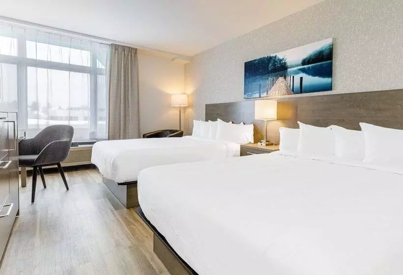 Repotel Henri Iv Québec