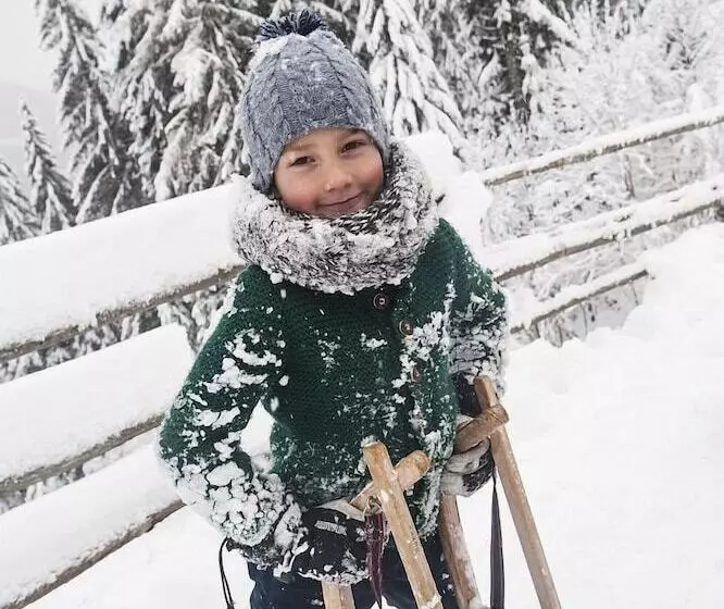Ferienwelt Kesselgrub Hotel In Altenmarkt Zauchensee