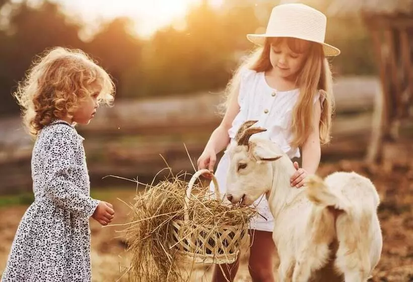 Ferienwelt Kesselgrub Hotel In Altenmarkt Zauchensee