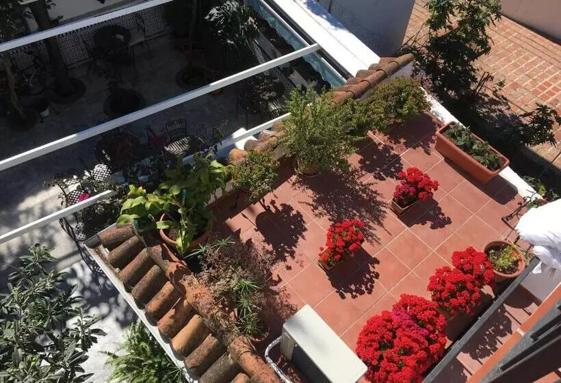 فندق فئة نجمة واحدة Pension Aduar