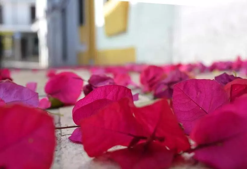 فندق فئة نجمة واحدة Pension Aduar