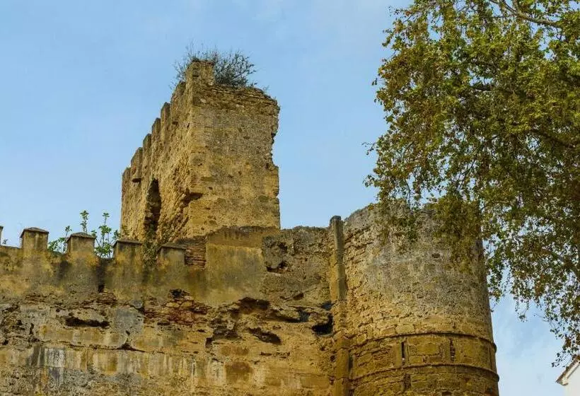 فندق فئة نجمة واحدة Pension Aduar