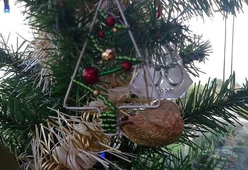 فندق Panorama Guest House