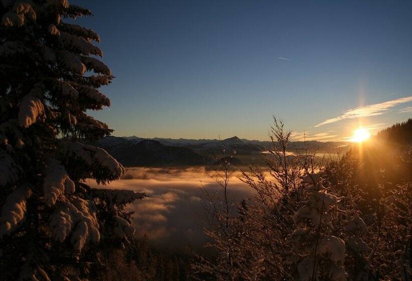 Отель Tiroler Adler Bed & Breakfast