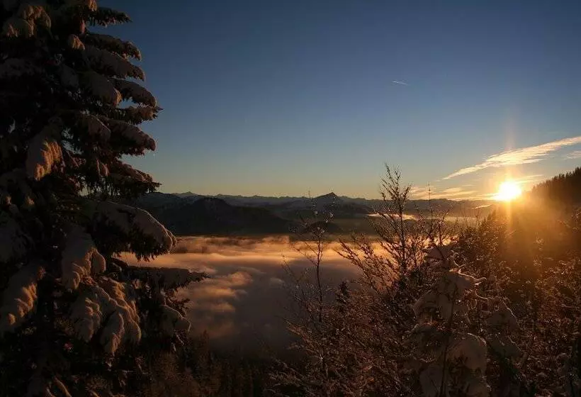 Отель Tiroler Adler Bed & Breakfast