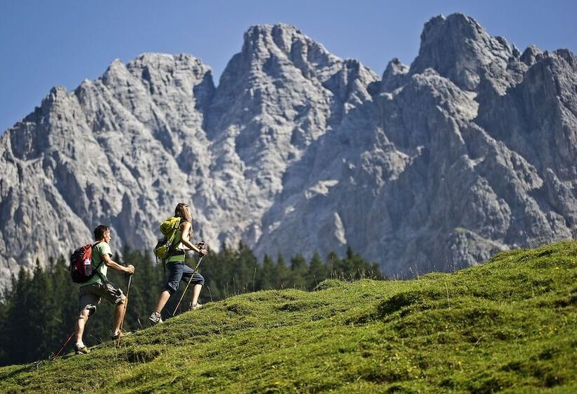 Отель Tiroler Adler Bed & Breakfast