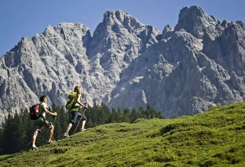 Отель Tiroler Adler Bed & Breakfast