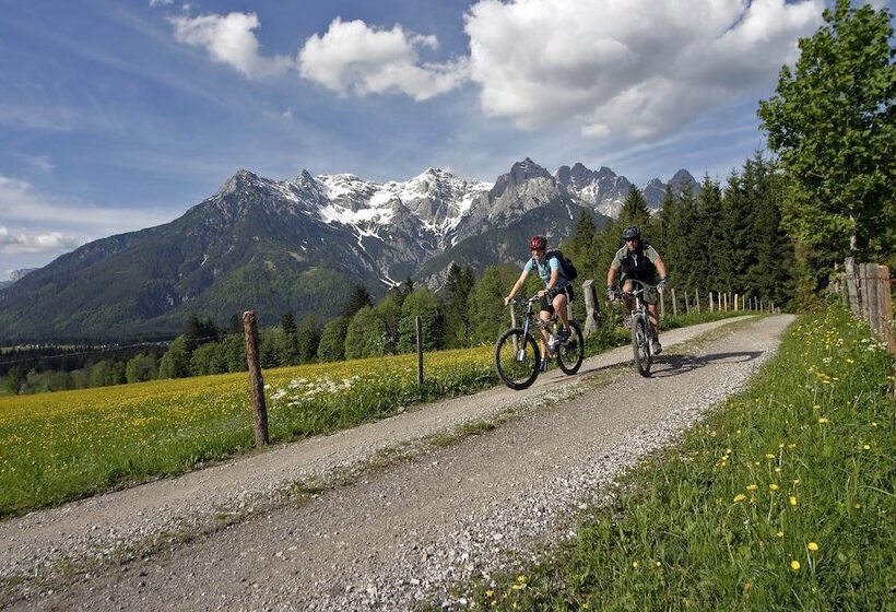 Отель Tiroler Adler Bed & Breakfast