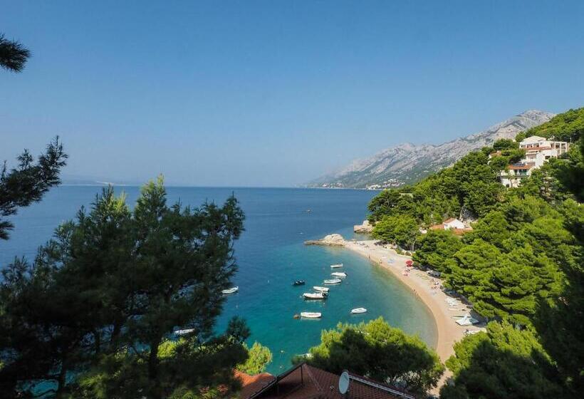 בית מלון כפרי Villa Petra