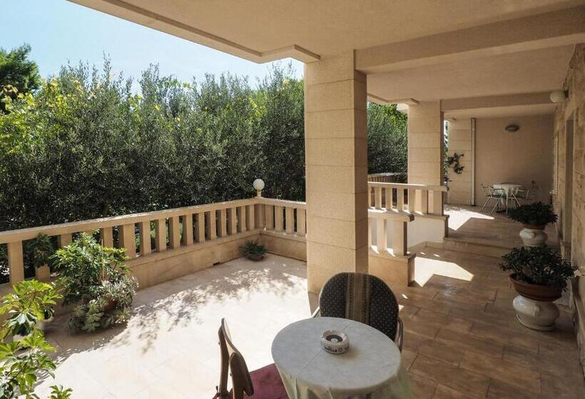 בית מלון כפרי Villa Petra