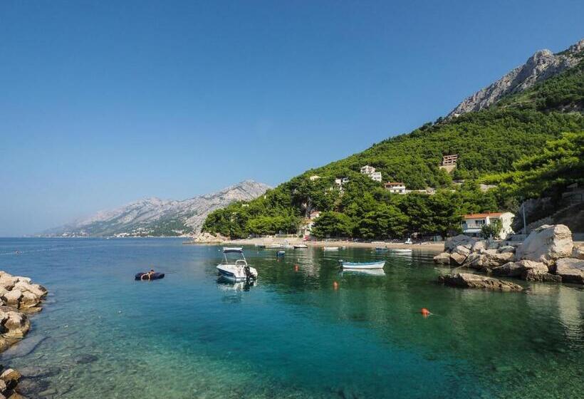 בית מלון כפרי Villa Petra