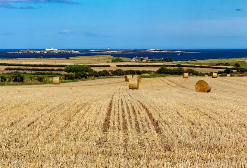 Отель Wyndgrove House