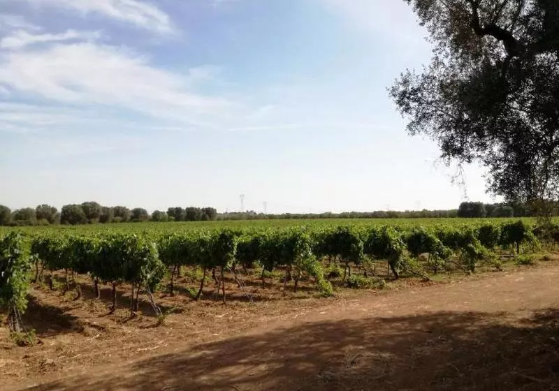 田舎風ホテル Agriturismo Tibitone