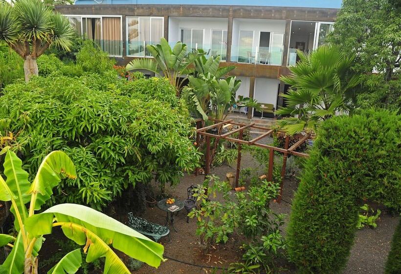 Apartamentos Adjovimar