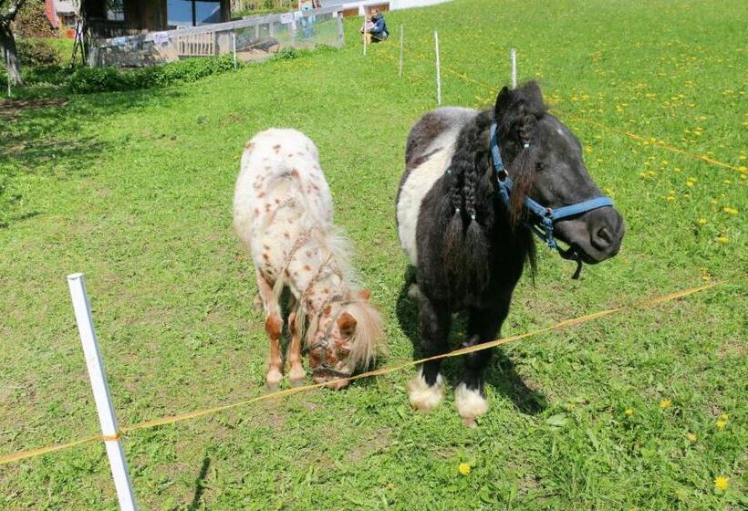 호텔 Ferienhof Obergasser Und Bergblick