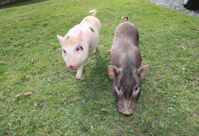 호텔 Ferienhof Obergasser Und Bergblick