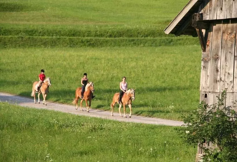 ホテル Ferienhof Obergasser Und Bergblick