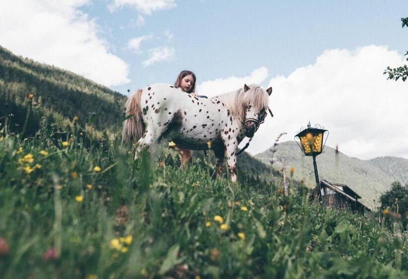 호텔 Ferienhof Obergasser Und Bergblick