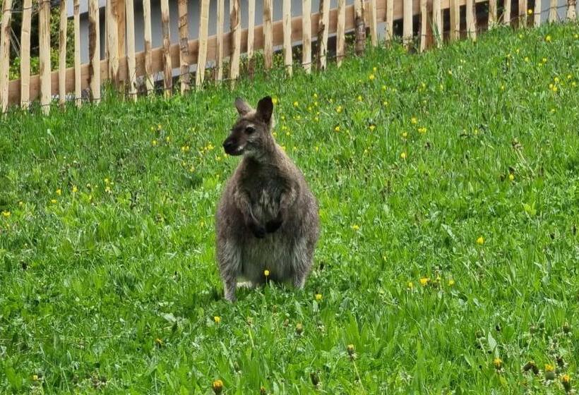 호텔 Ferienhof Obergasser Und Bergblick