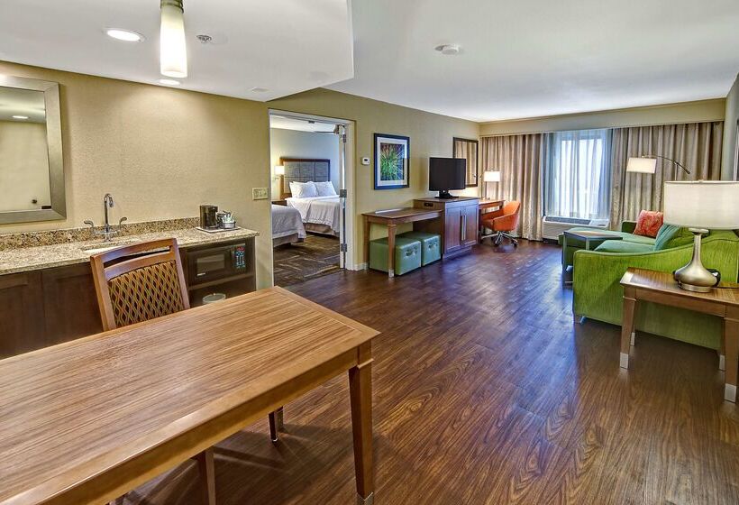 ホテル Hampton Inn & Suites Asheville Airport