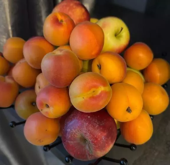 호텔 L Escale D Alès