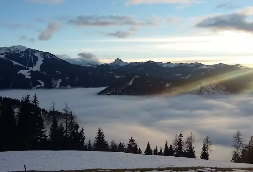 בית מלון כפרי Pension Bergbauernhof Irxner