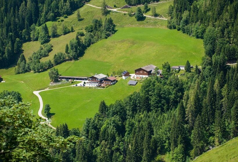 فندق Pension Bergbauernhof Irxner