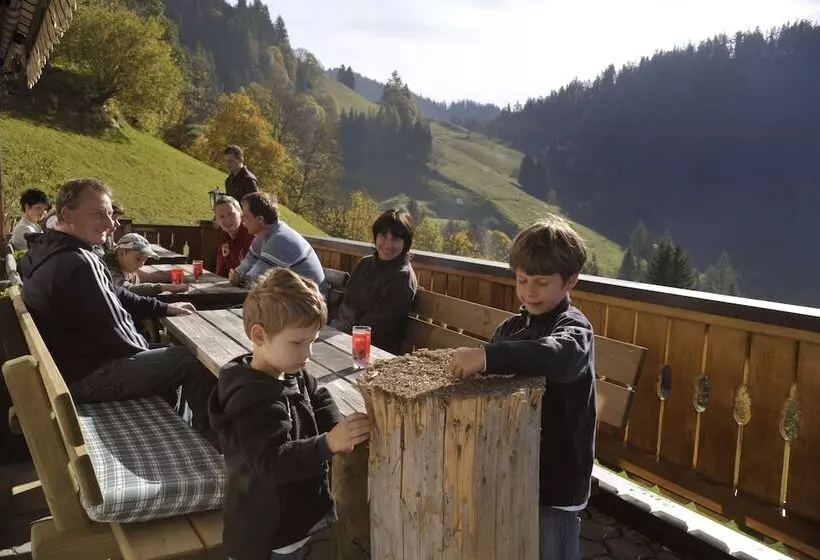 בית מלון כפרי Pension Bergbauernhof Irxner