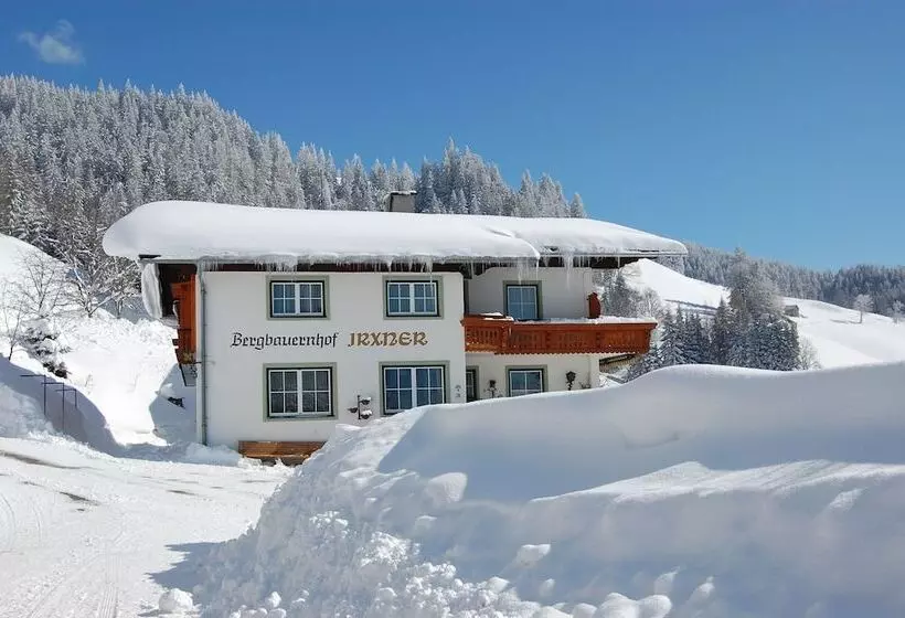 בית מלון כפרי Pension Bergbauernhof Irxner